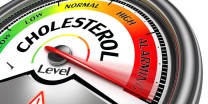 How To Understand What Your Cholesterol Numbers Mean