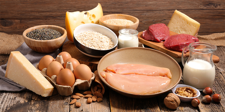 high protein diet for weight loss